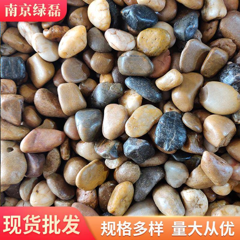 五彩抛光鹅卵石园林盆栽彩色亮光雨花石水池垫底庭院铺路小石子