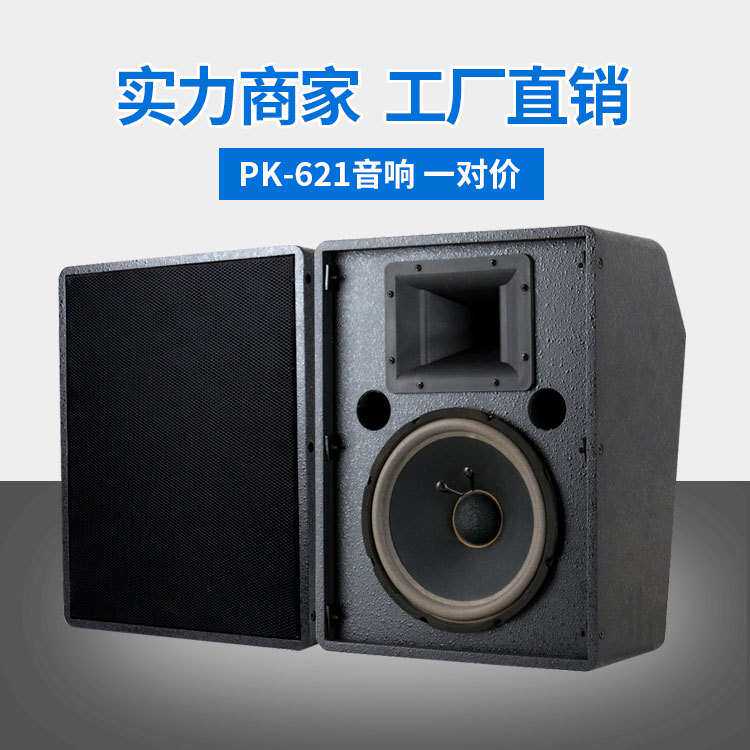 佰声K621高级家庭KTV娱乐K歌音响专业会议展厅卡拉OK多媒体音箱