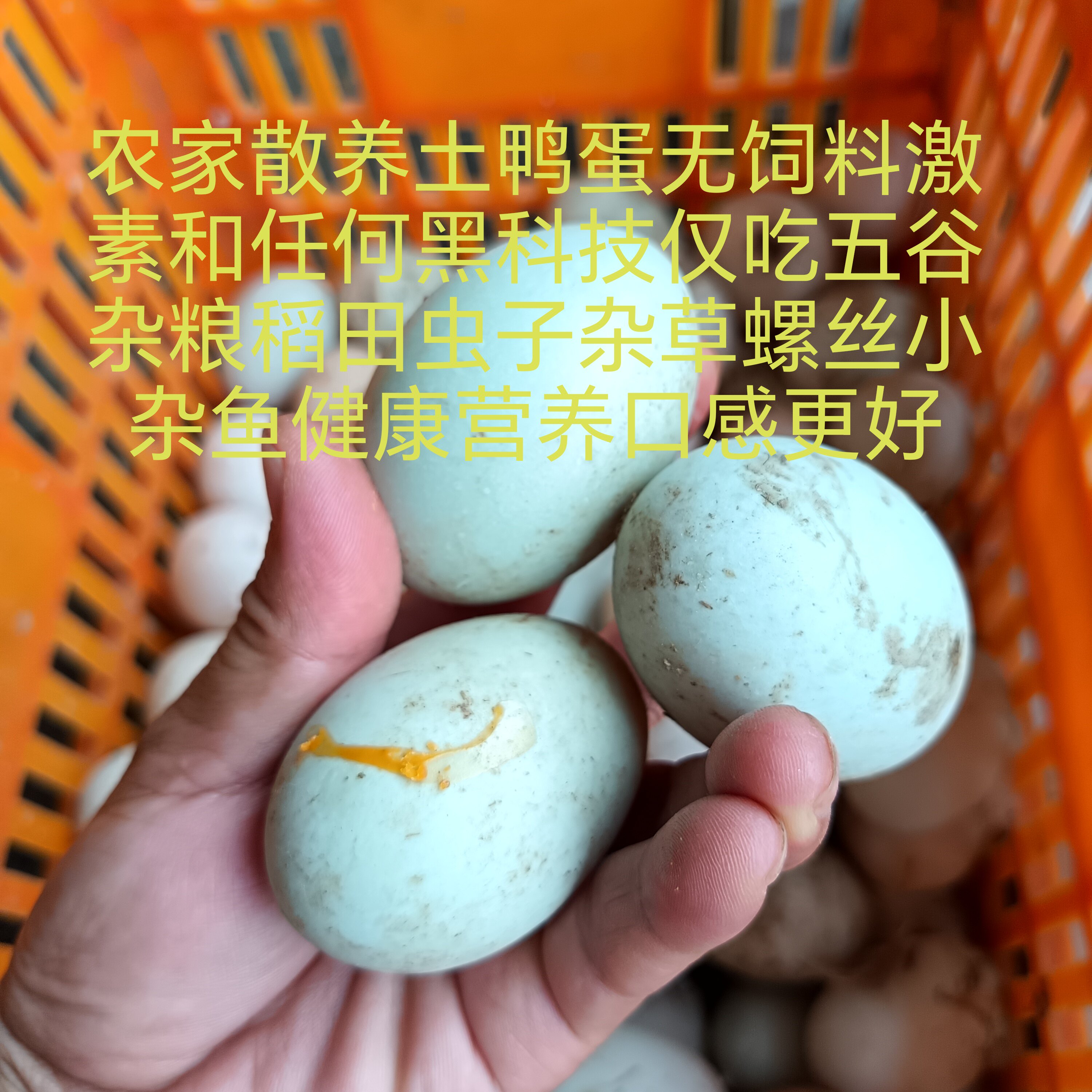 土鸭蛋小鸭蛋自家散养田野无抗无饲料吃虫子螺丝健康高营养辅食鲜