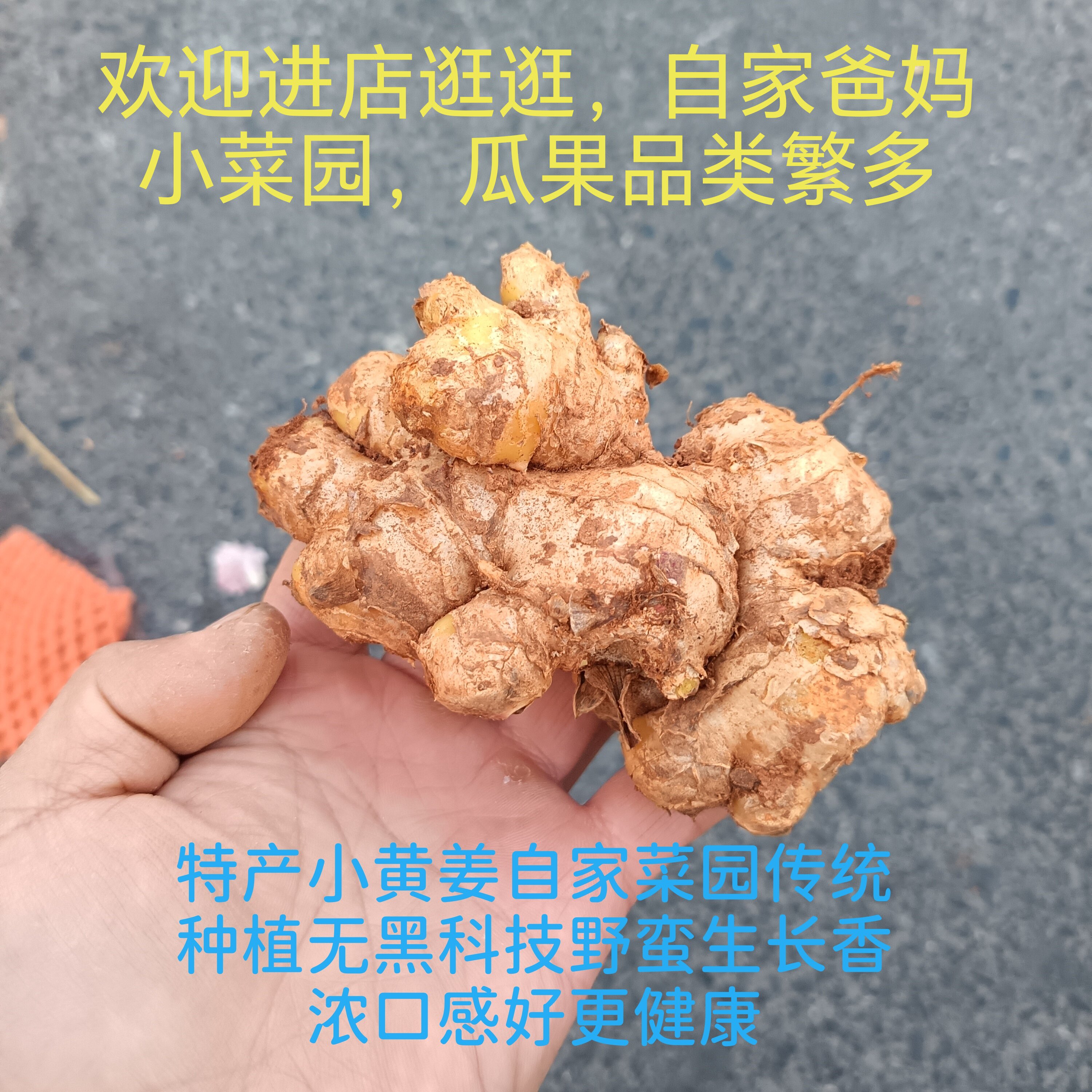 老品种小黄姜农家无科技狠活香浓