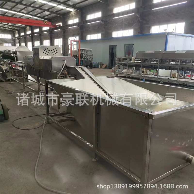商用洗蛋机 全自动洗蛋机 洁净度高 风干光检 喷码喷油 分级成