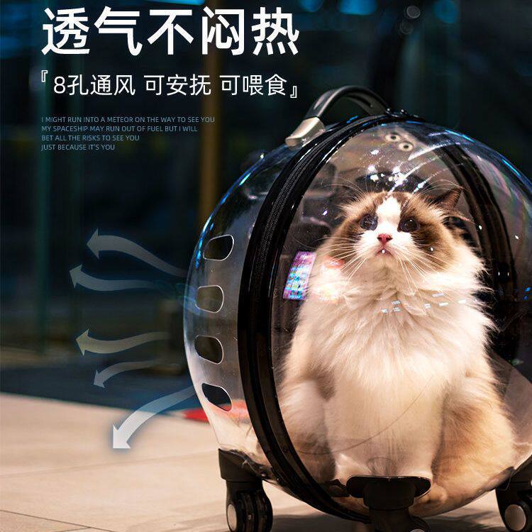 猫包便携宠物行李箱太空舱推车猫咪外出拉杆箱狗狗笼子旅行箱透明