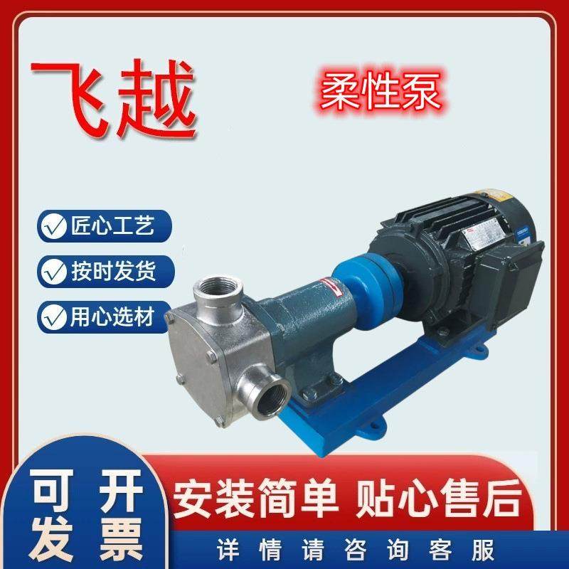 柔性泵304不锈钢RZB柔性转子泵自吸泵输送泵化工原料泵柔性泵现货,五金/工具,其它泵类型,淘宝优惠券,粉丝福利购,淘宝优惠卷