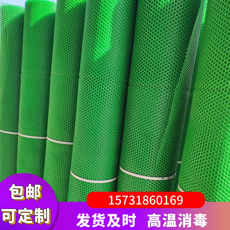 绿色小孔养殖加厚塑胶网片防逃防坠育雏网床漏粪围鸡鸭鹅鱼塘隔离