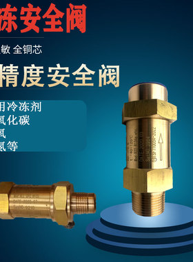 CLOS制冷蒸发器媒中央空调冻机组SFA-22C300T安全阀CSS507H1-1(M)