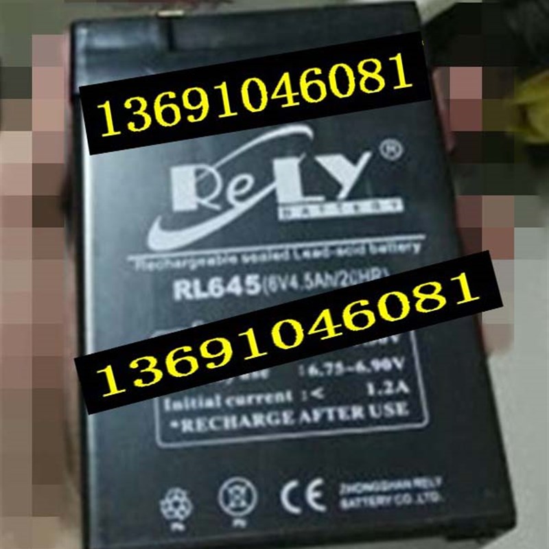 RELY蓄电池 RL645 6V45Ah/20HR 电动车玩具车儿童车电子秤用电池