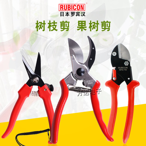 日本RUBICON罗宾汉多功能园艺剪刀 树枝剪修花剪修枝剪果树摘果剪