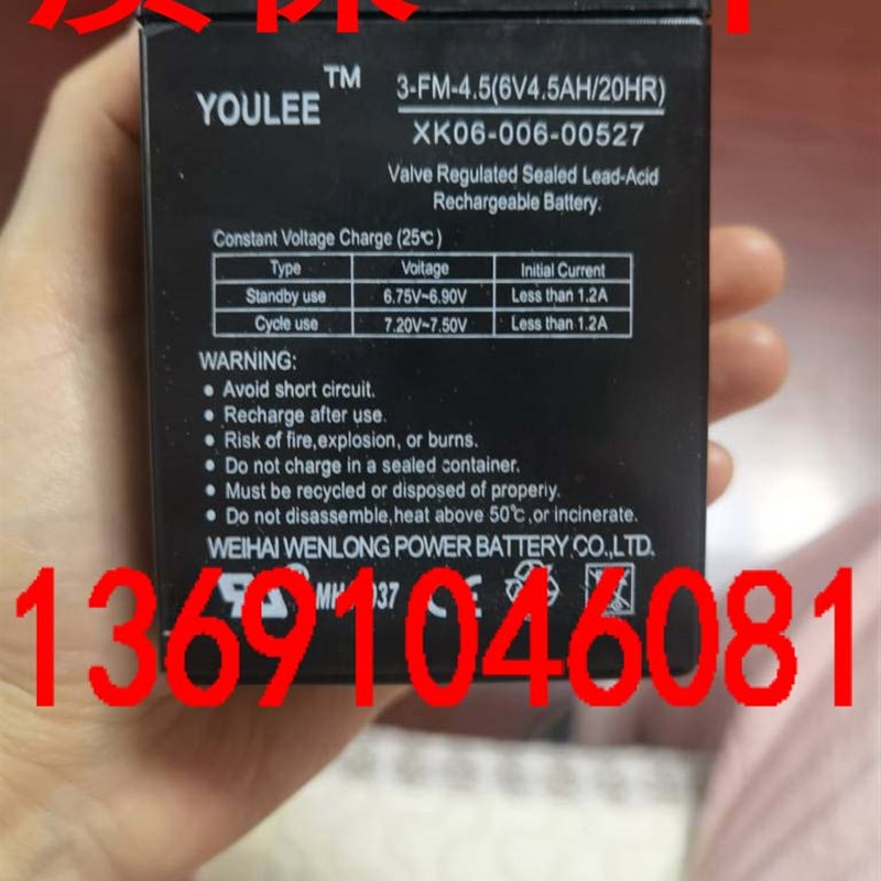 YOULEE蓄电池 3FM45 6V45AH电动儿童玩具车 儿童三轮车电瓶