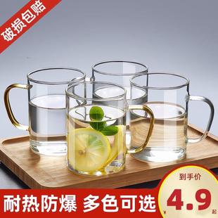 泡茶杯女生咖啡杯带把啤酒杯防爆 杯子透明玻璃水杯家用耐高温男士