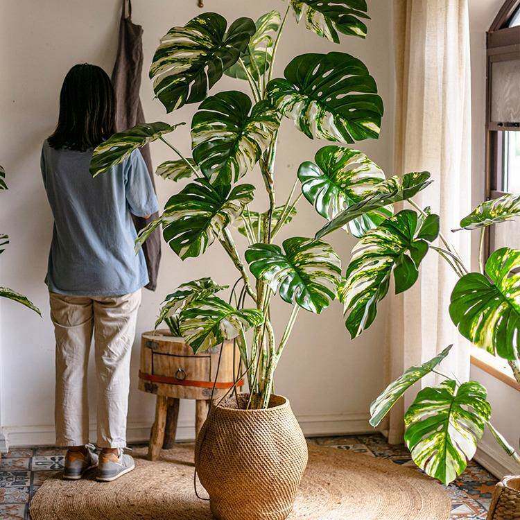 花叶龟背竹树绿植盆栽室内橱窗落地植物假绿植装饰摆件