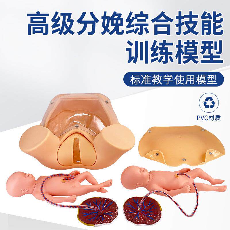 高级分娩综合技能训练模型孕妇分娩模型女性顺产分娩模拟人体模型