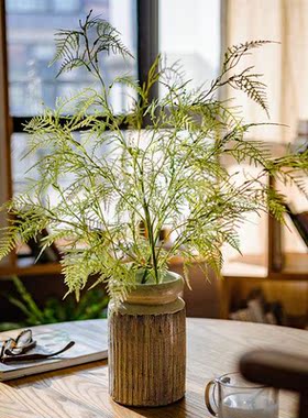 北欧绿植文竹锯叶枝棕树叶波斯草蕨类长物家DTJ居装饰植花艺