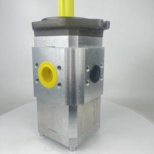 100 艾可勒EIPC 1HPY0液压齿轮EIP6C5 040 050 064R3A23泵