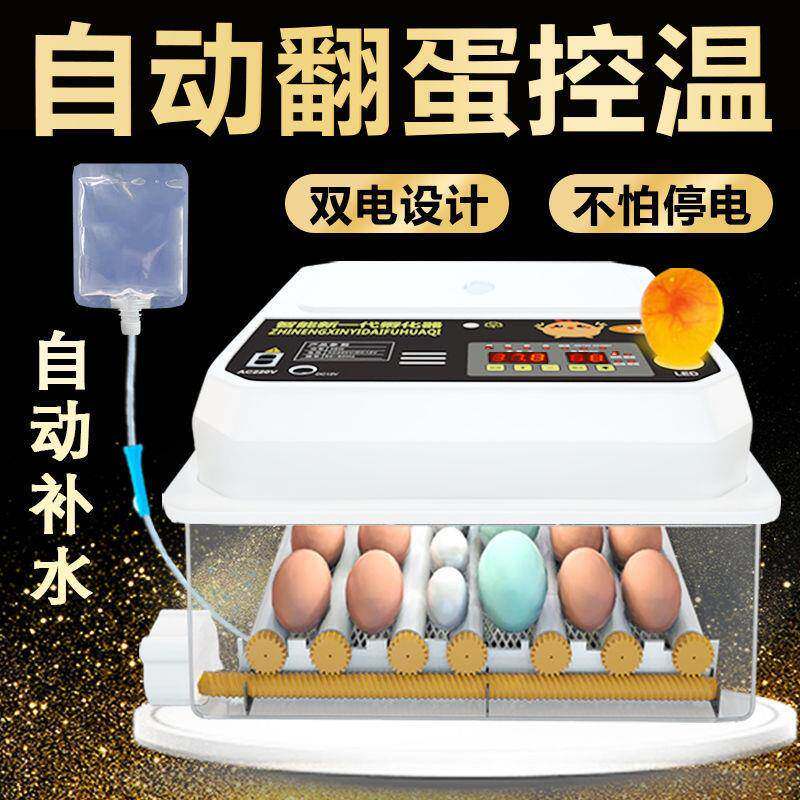 孵器智能家用化全AL101562自动小型孵化机鸡鸽子鸭鹅土鹌鸟鹑蛋孵