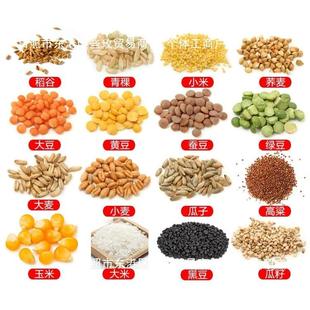 铁皮风斗吹用谷机风菜柜稻谷风除杂机农粮食风选机籽水稻筛LII车