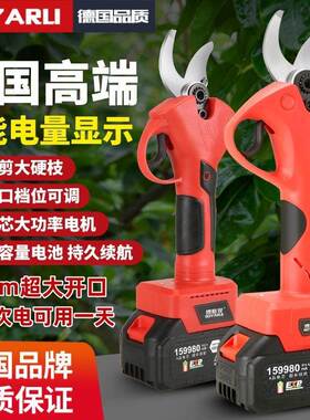 德国装进口电动修刀枝剪果电树剪粗枝剪大功率原TJM充电剪无线锂