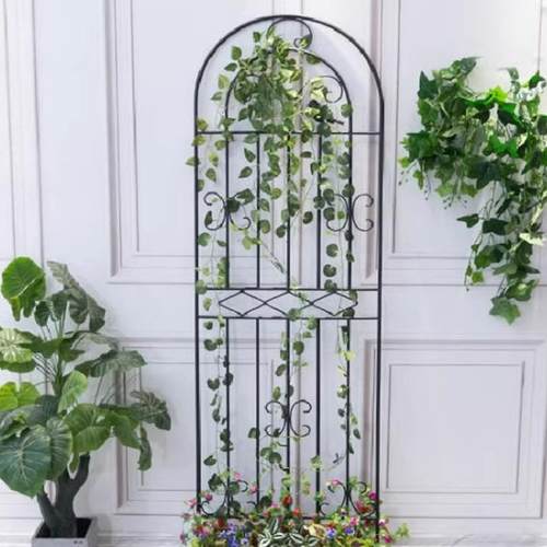 花庭园院铁艺小围栏GVV爬藤架子月花架户外庭支院植物季线莲攀爬