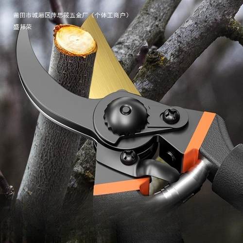 德KVT精国工艺园剪枝刀剪树花剪刀修枝剪园林果树修家用剪子其他