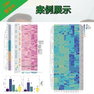 细胞培养增殖周期服 实验外包生信细胞实验 PCR 免疫细胞浸润