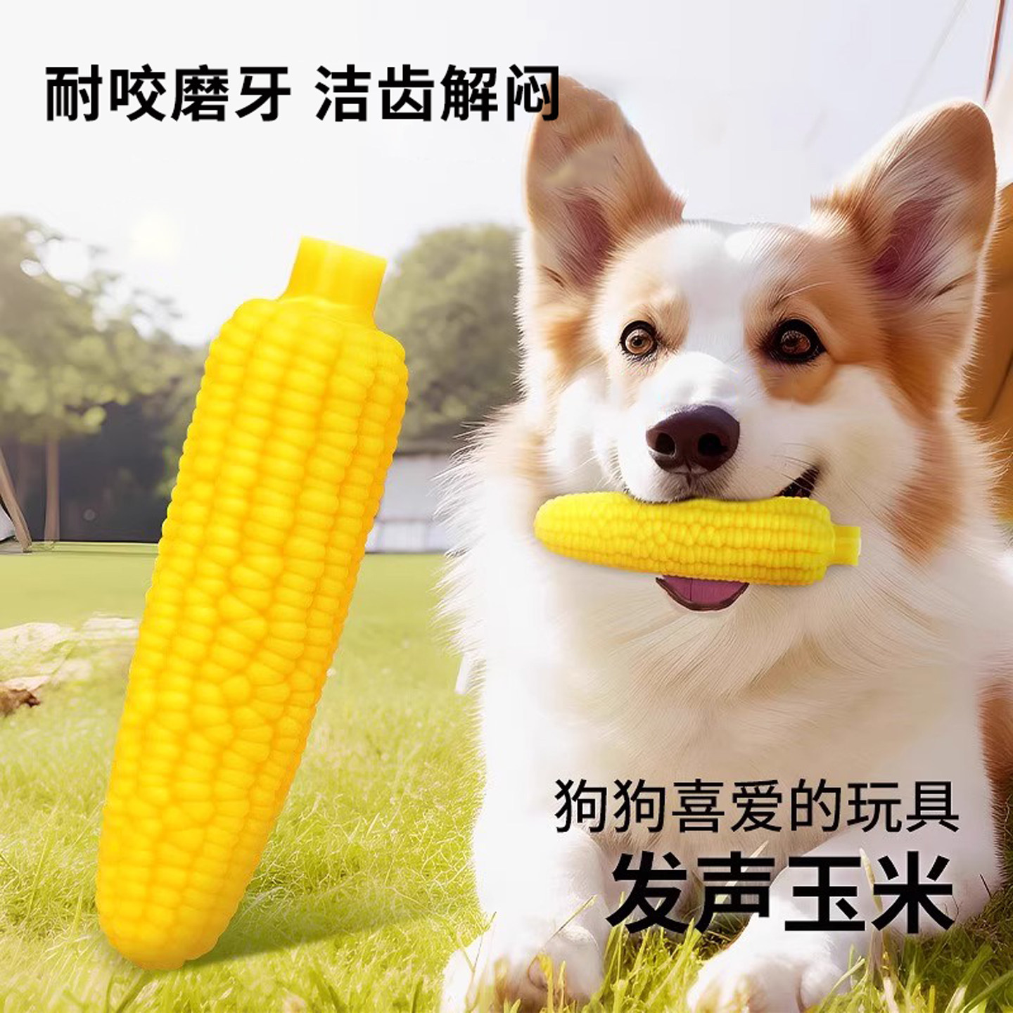 狗狗玩具发声玉米玩具搪胶咬咬乐狗狗洁齿耐咬磨牙玩具宠物玩具,宠物/宠物食品及用品,发声玩具,淘宝优惠券,粉丝福利购,淘宝优惠卷