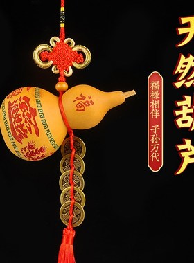 寅亥堂天然葫芦五帝钱招财进宝出入平安镇宅之宝浮雕图案家居装饰