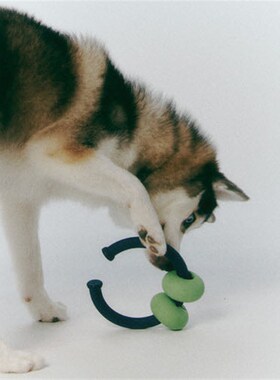 韩国Roika Dango漏食益智狗狗玩具天然橡胶小型犬丰容咬坏换新