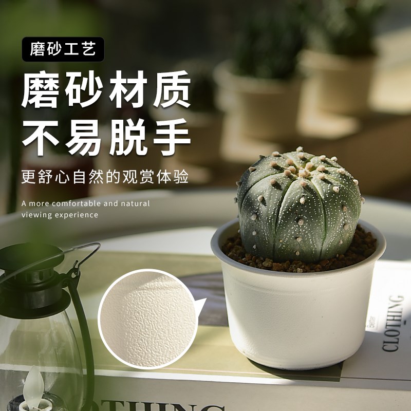 白色多肉盆迷你北欧小号圆盆塑料仿陶家用花烛大口径控根专用花盆