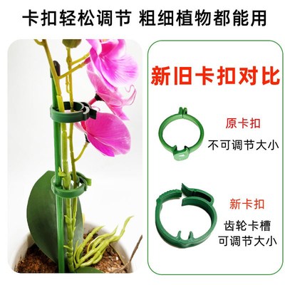 植物支撑杆花卉防倒伏固定器兰花护叶枝龟背竹海芋专用园艺扶持架