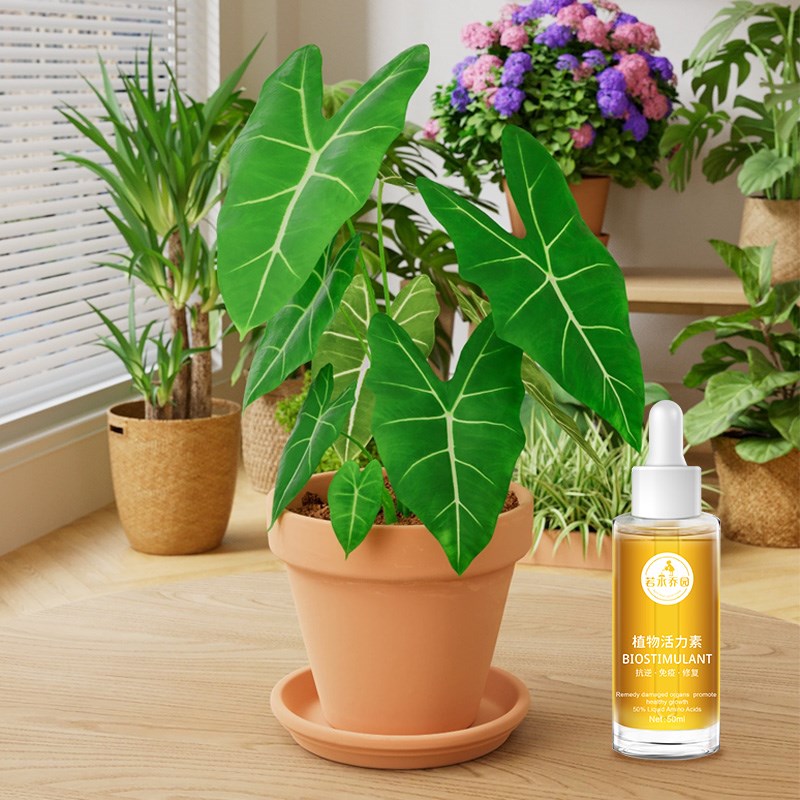 若水乔园植物活力素植物通用活力液缩营养液生根液花卉盆栽僵苗