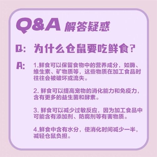 【Tiyes】仓鼠鲜粮湿粮主粮小宠无水餐包20食材鱼油营养