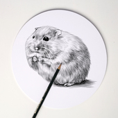 耀莱办公圆形卡纸幼儿园儿童手工手抄报背景板圆卡纸硬卡纸29CM36