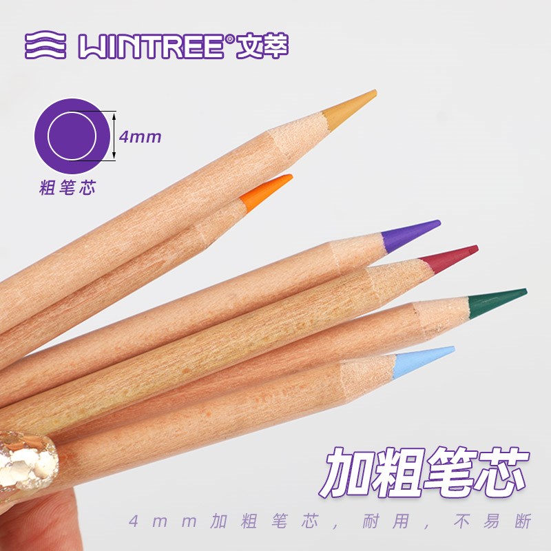 文萃24色炭笔彩炭三支笔彩铅素描笔速写笔彩色碳笔青竹24色彩炭笔