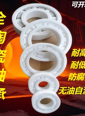 6200全陶瓷轴承氧化锆6201CE耐高温6202防水6203 6204 6205 6206