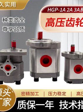 齿轮油泵HGP-1A-F2R F3R F6R/HGP-2A-F8R F12R /HGP-3A-F14R F25R