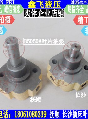 抚顺插床B5050A叶片泵CAK6150沈阳数控机床CAK5085叶片式润滑油泵