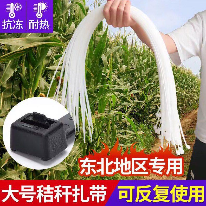 玉米秸秆打包可松式扎带10*1000长舌扣1200活扣扎带捆秆绳扎线带