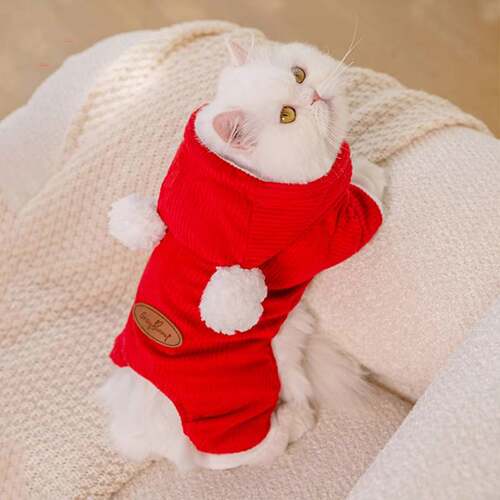 新年猫咪衣服秋冬季双毛球灯芯绒连帽棉衣成猫幼猫中小型犬狗衣服