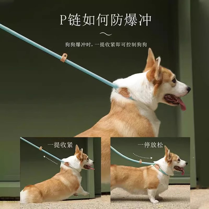 狗狗牵引绳P绳遛狗绳子一体式防挣脱中大型犬防爆冲p链牵狗绳狗链
