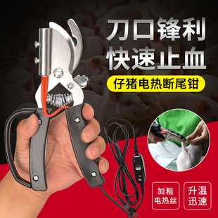 电热断尾钳猪用小猪剪尾钳仔猪断尾器断尾剪刀止血剪尾钳断尾神器