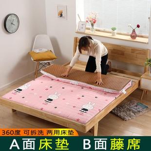 家用加厚凉感租房专用垫 可拆洗藤席床垫软垫双面两用学生宿舍四季