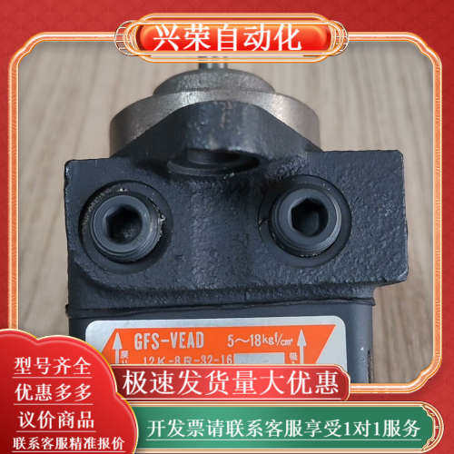 GFS-VEAD油泵