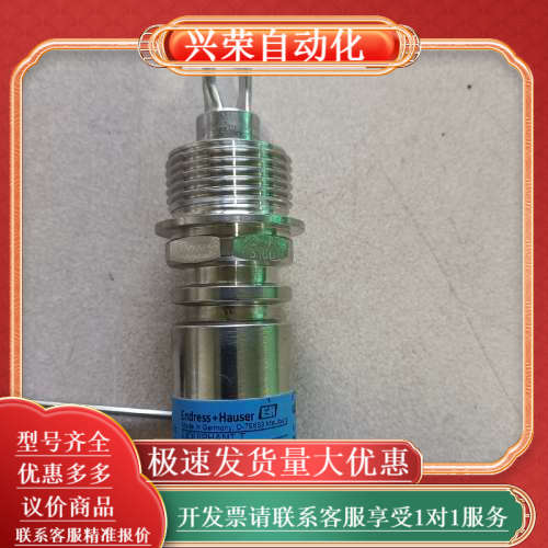 全新EH音叉液位开关，型号FTL20-062D。国