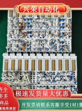 BECKHOFF/ KL1859 模块