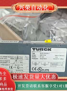 出TURCKBL20-GW-DPV1接口模块，