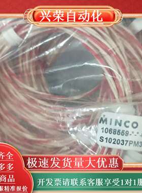 minco 1068559 pt100  温度探头S1020