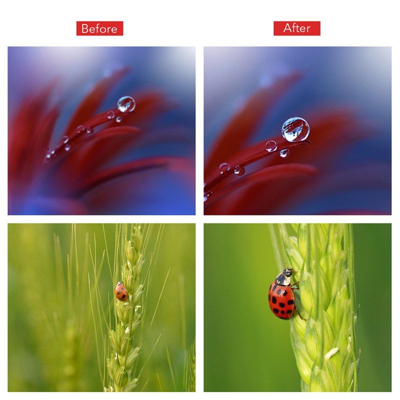 APEXEL二合一无畸变无暗角通用外置美睫美甲10倍微距星光手机镜头