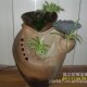 多肉花盆 兰花月季 紫砂粗陶透气切口撒点大号陶罐盆个性 创意时尚
