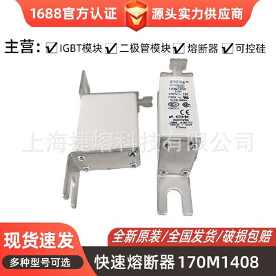 170M1408 170M1409 170M1410原装 快速熔断器 型号齐全现货