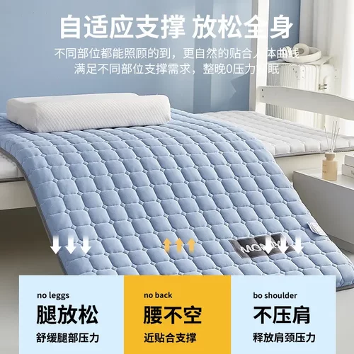 春秋加厚床垫软垫牛奶绒学生宿舍床垫租房防滑睡垫多规格保暖床垫