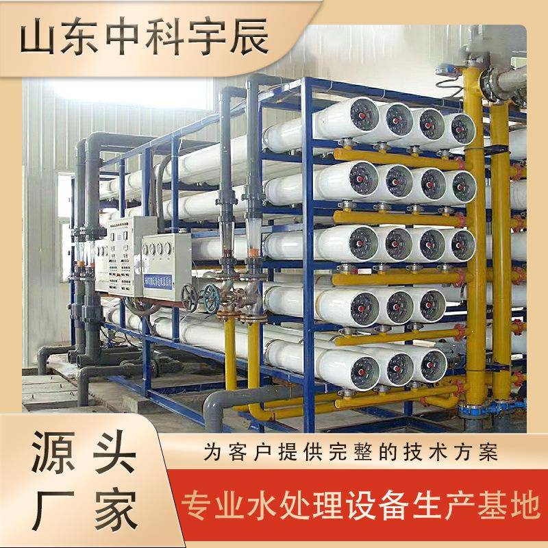 商用水处理生活直饮水反渗透设备工业双级ro海水淡化制水设备